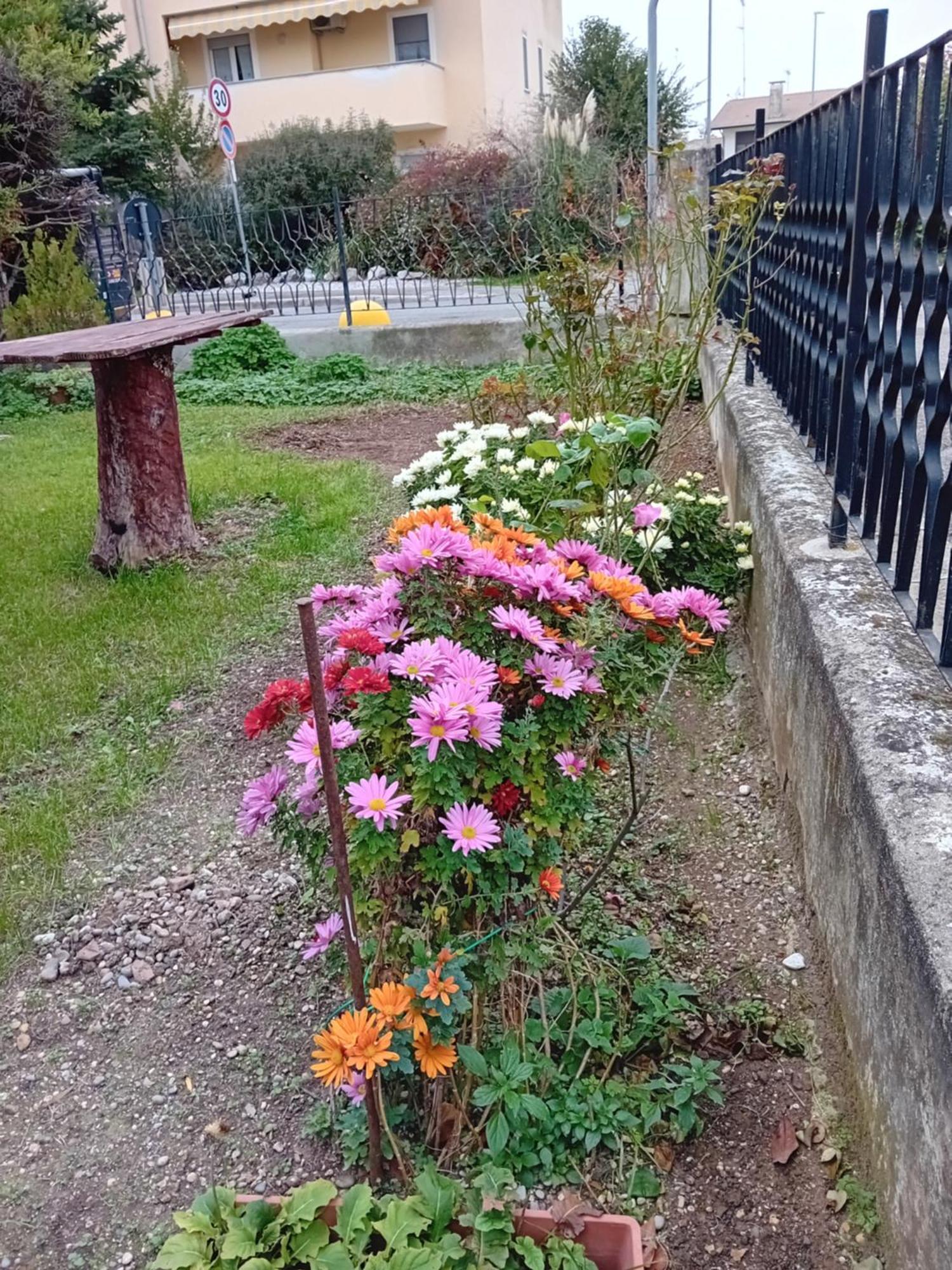 Villa Azzurra Monfalcone Dış mekan fotoğraf