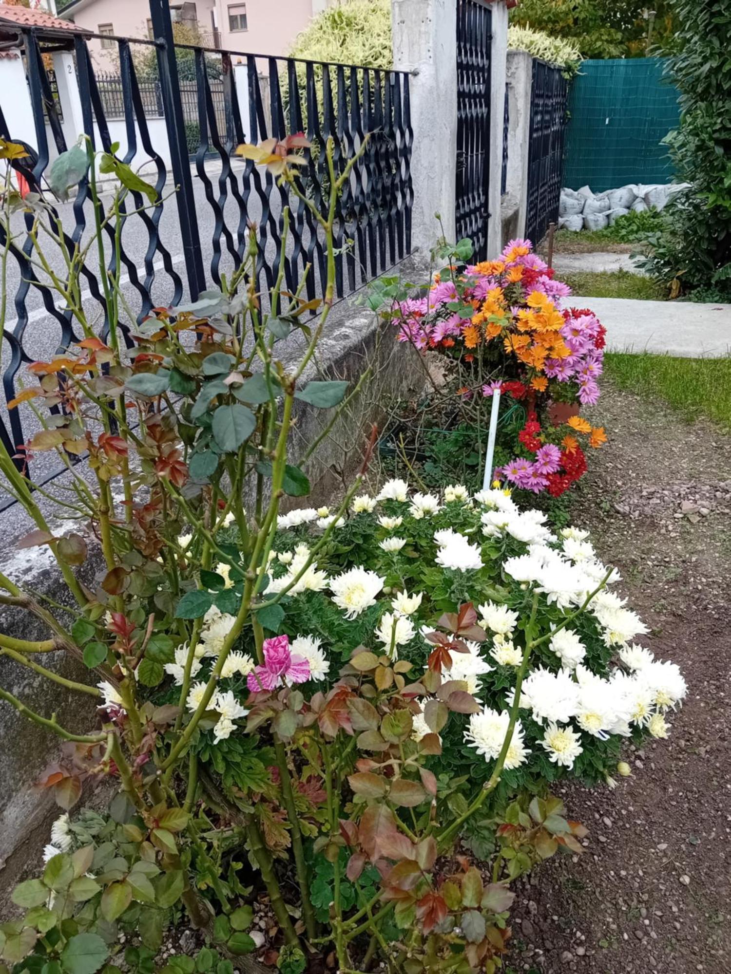 Villa Azzurra Monfalcone Dış mekan fotoğraf